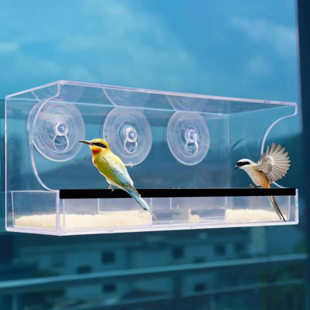 Window Bird Feeder